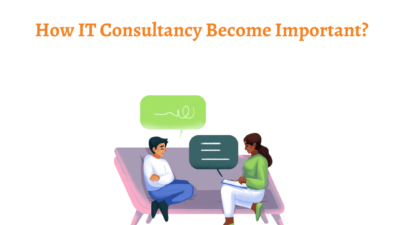 How IT Consultancy Become Important?